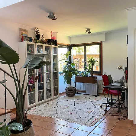 Casa Castro *